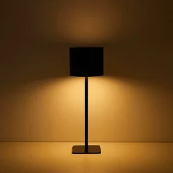 AEROPOSTALE Black Stainless Steel Table Lamp