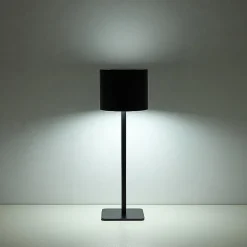 AEROPOSTALE Black Stainless Steel Table Lamp