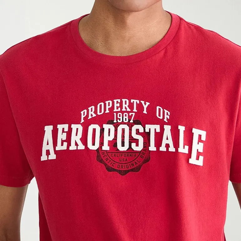 AEROPOSTALE Mens Crew Neck Short Sleeve Classic Fit Graphic T-Shirt