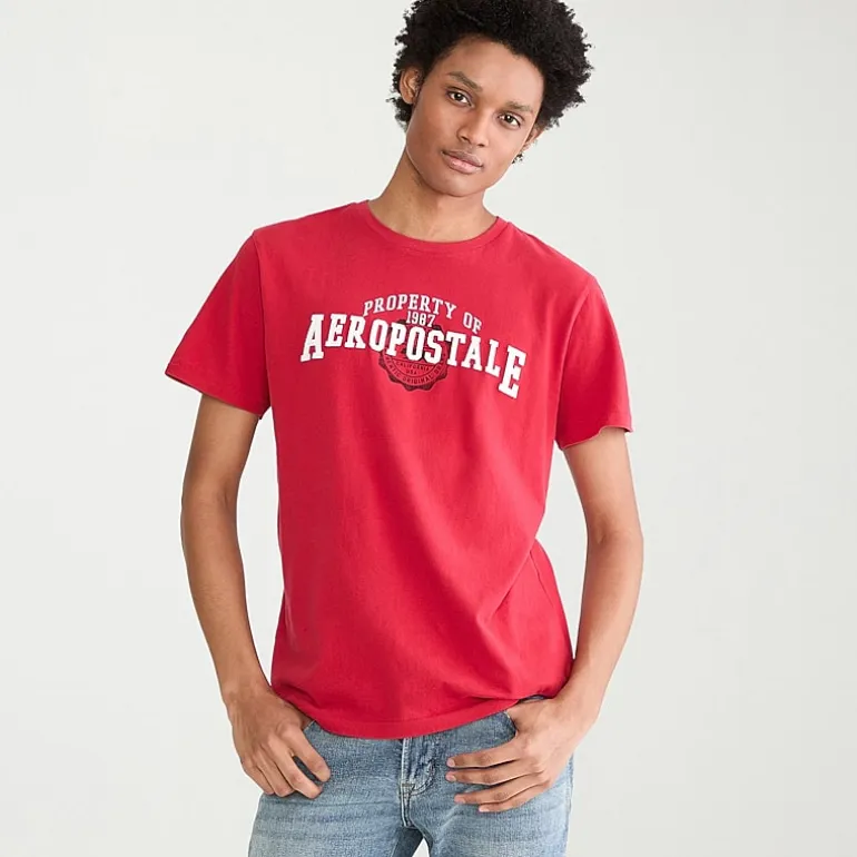 AEROPOSTALE Mens Crew Neck Short Sleeve Classic Fit Graphic T-Shirt