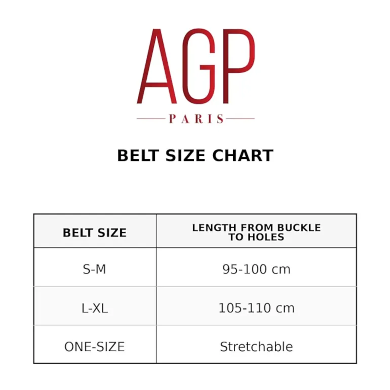 AGP PARIS Gold Metallic Women's Belt