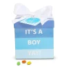 Alder Creek Its A Boy Baby Gift Box Food Set