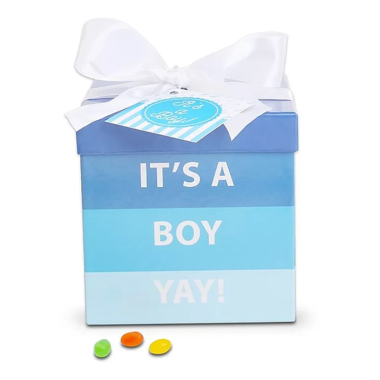 Alder Creek Its A Boy Baby Gift Box Food Set