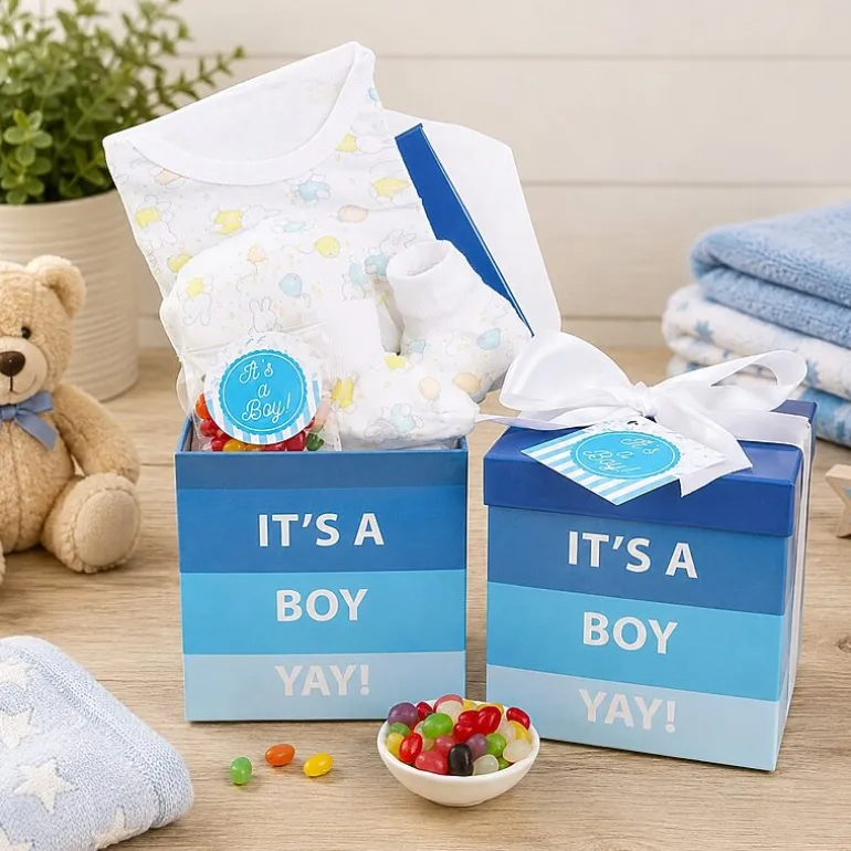 Alder Creek Its A Boy Baby Gift Box Food Set