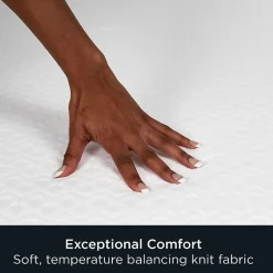 Allerease Platinum Mattress Protector