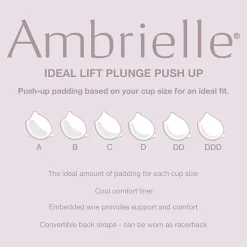 Ambrielle Ideal Lift Plunge Bra