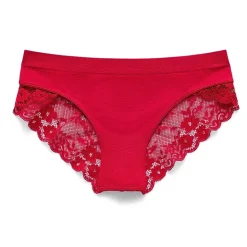 Ambrielle Seamless Lace Cheeky Panty