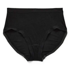 Ambrielle Smooth Lace Brief Panty