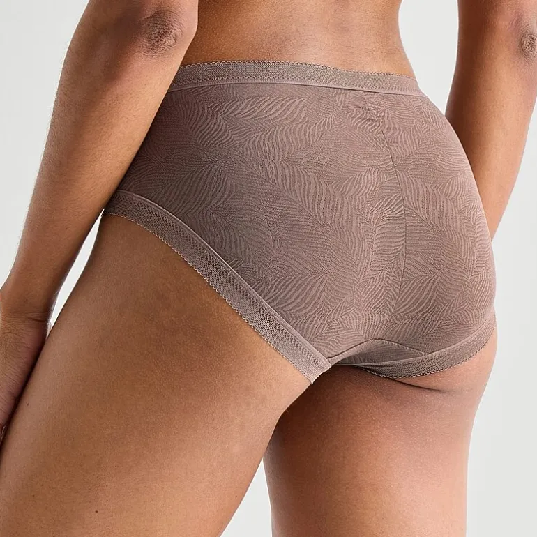 Ambrielle Smooth Lace Brief Panty