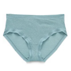 Ambrielle Smooth Lace Hipster Panty