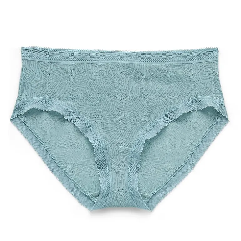 Ambrielle Smooth Lace Hipster Panty