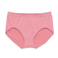 Ambrielle Womens Seamless Brief Panty