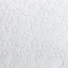 America's 2 Pack Quilted Star Pillow