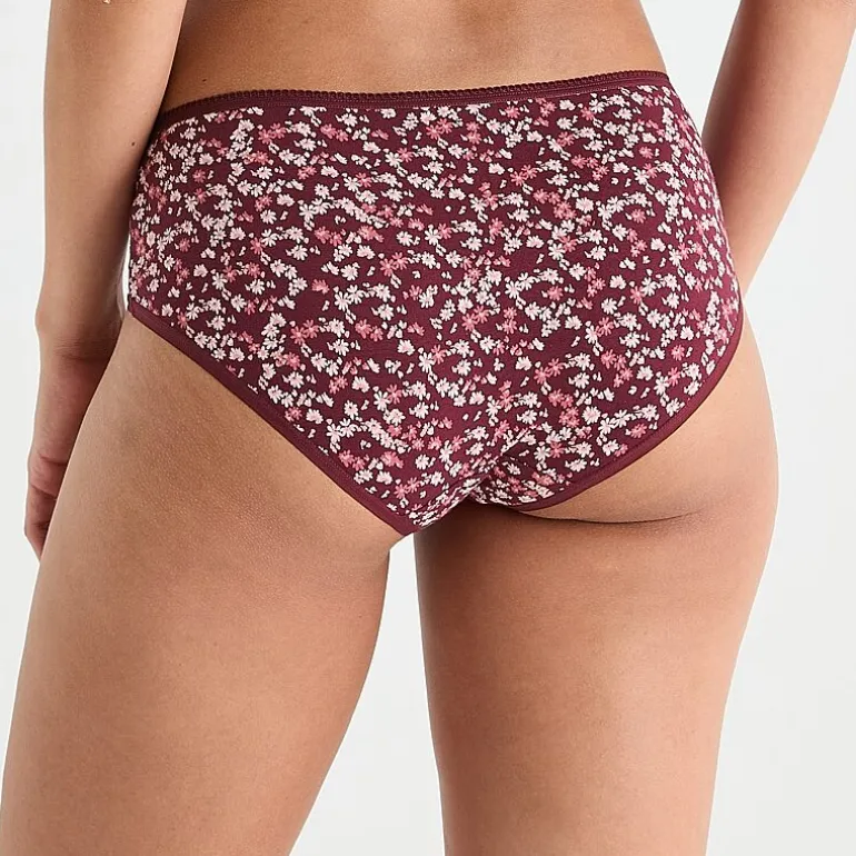 Arizona Body Cotton Hipster Panty