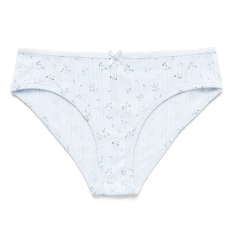 Arizona Body Cotton Hipster Panty
