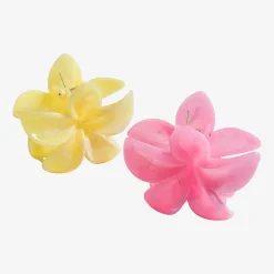 Arizona Hair Clip