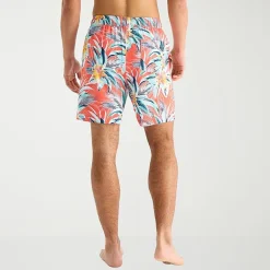 Arizona Mens 6 1/2