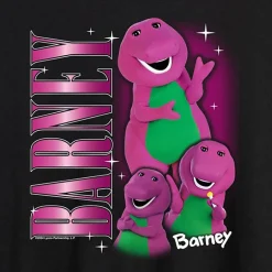 Barney Tee Womens Juniors Crew Neck Short Sleeve Oversized Graphic T-Shirt