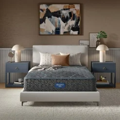 Beautyrest Level Two 13.25