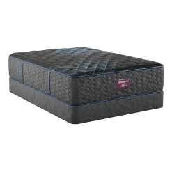 Beautyrest World Class Level Three 13