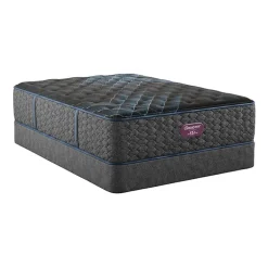 Beautyrest World Class Level Three 13