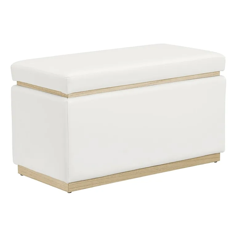 Berlinda Faux Leather Rectangular Storage Ottoman