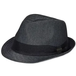 Biltmore Mens Fedora