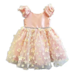 Blueberi Boulevard Toddler Girls Sleeveless A-Line Dress
