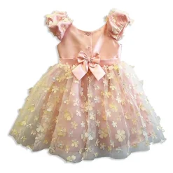 Blueberi Boulevard Toddler Girls Sleeveless A-Line Dress