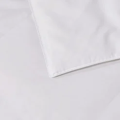 Blue Ridge Home Fashions 1000 Thread Count  European White Down Comforter