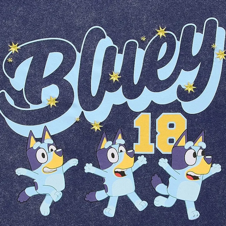 Bluey Boyfriend Tee Womens Juniors Crew Neck Short Sleeve Loose Fit Bluey Graphic T-Shirt