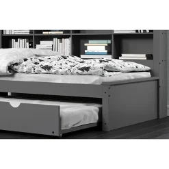 Bookcase Twin Daybed with Twin Trundle
