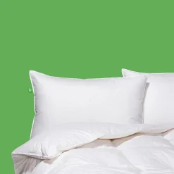 Canadian Down & Feather Company Down Perfect Firm Support Pillow
