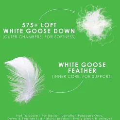 Canadian Down & Feather Company Down Perfect Medium Support Pillow