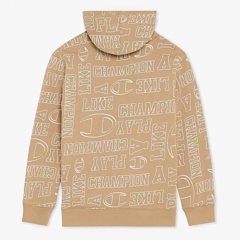 Champion Big Kid Boys Long Sleeve Fleece Active Hoodie
