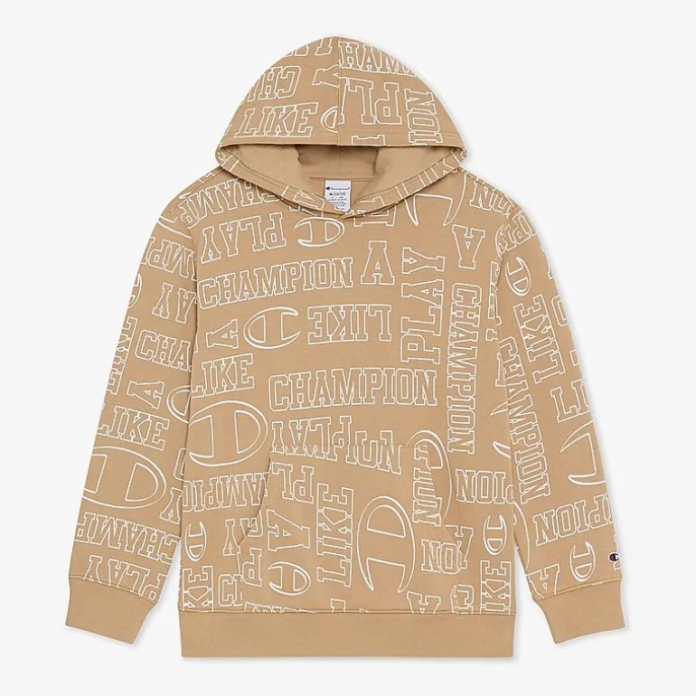 Champion Big Kid Boys Long Sleeve Fleece Active Hoodie