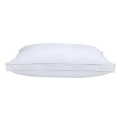Claritin Allergen Barrier Medium/Firm Density Pillow