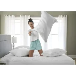 Claritin Allergen Barrier Medium/Firm Density Pillow