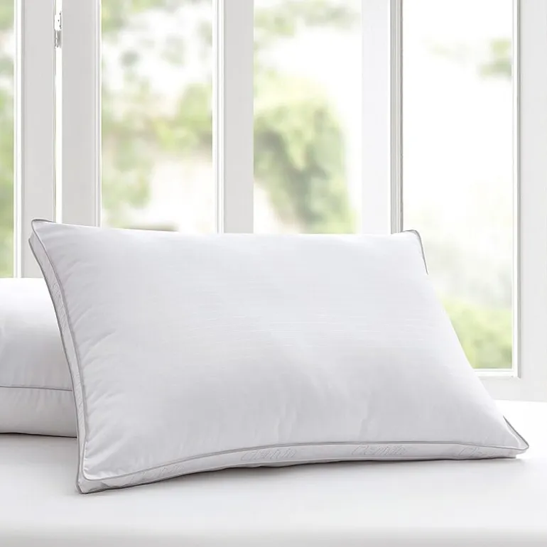 Claritin Allergen Barrier Medium/Firm Density Pillow