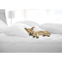 Claritin Allergen Barrier Soft/Medium Density Pillow