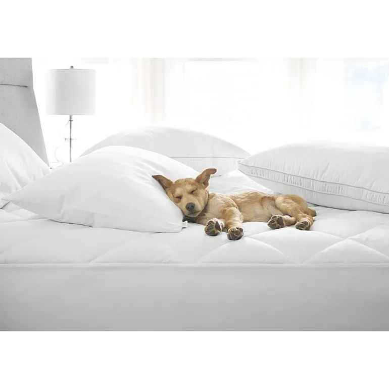 Claritin Allergen Barrier Soft/Medium Density Pillow