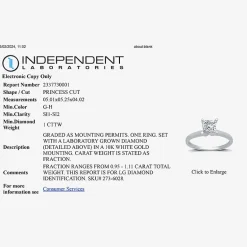 1 CT. Lab-Grown (G-H / SI1-SI2) Diamond Princess-cut Solitaire Engagement Ring in 10K Gold