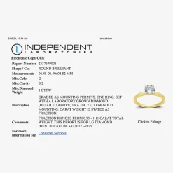 1 CT. Lab-Grown (G / SI2) Diamond Round Solitaire Engagement Ring in 10K Gold