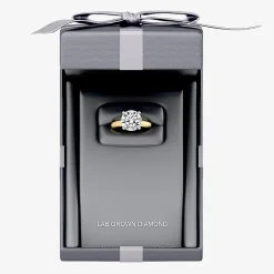 5 CT. Round Lab-Grown (F / VS1) Diamond Solitaire Engagement Ring in 14k Gold