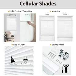 Cut-to-Width Cordless Top-Down Bottom-Up Light-Filtering Shade