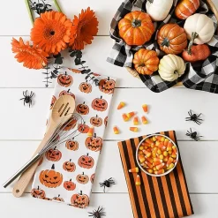 Design Imports Pumpkin Faces 3-pc. Dish Cloths