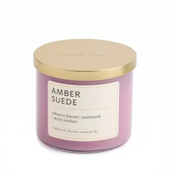 Distant Lands Amber Suede 3-Wick Scented Jar Candle