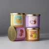 Distant Lands 14oz Dragonfruit Wave 3-Wick Scented Jar Candle
