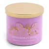 Distant Lands 14oz Dragonfruit Wave 3-Wick Scented Jar Candle