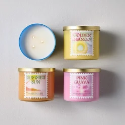 Distant Lands 14oz Golden Mango 3-Wick Scented Jar Candle